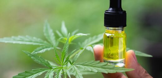 CBD for young children?