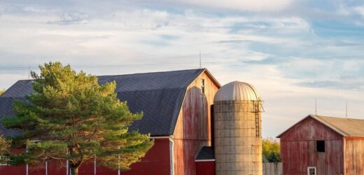 Hillandale Farms Pennsylvania- An Esteemed Name in Sustainable Farming And Animal Welfare