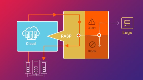 A Comprehensive Guide On Rasp Security