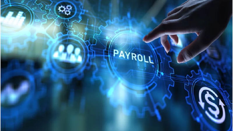 Why It is Time for Organizations to Move from Manual to Digital Payroll System Software