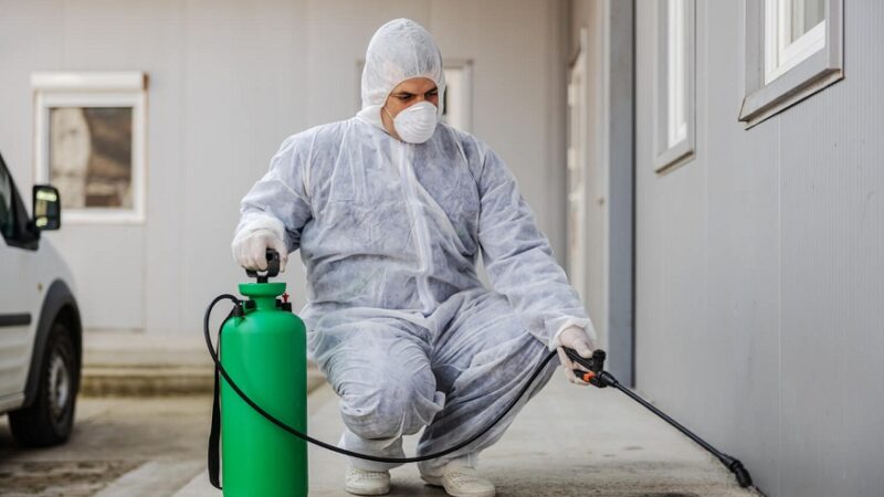 Ensuring a Pest-Free Home: A Comprehensive Guide to Professional Residential Protection