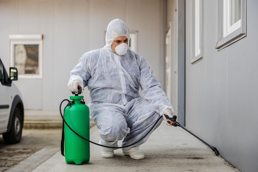best pest control
