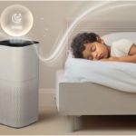 Air Purification Explained: The Basics Everyone Should Know